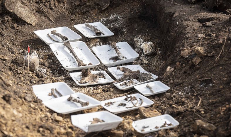 Parte de los restos óseos encontrados en el Batallón 14. Foto: Sofía Torres