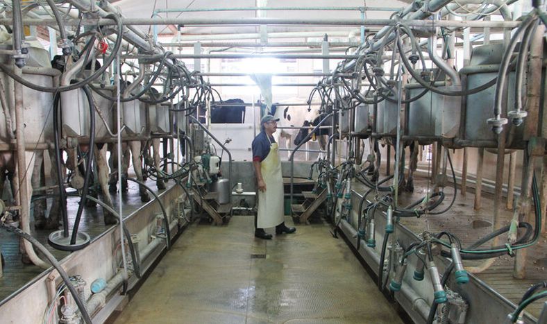 imagen de Las industrias que vienen a instalarse en el país “son los chulos de la lechería mundial”, dijo el titular del Inale