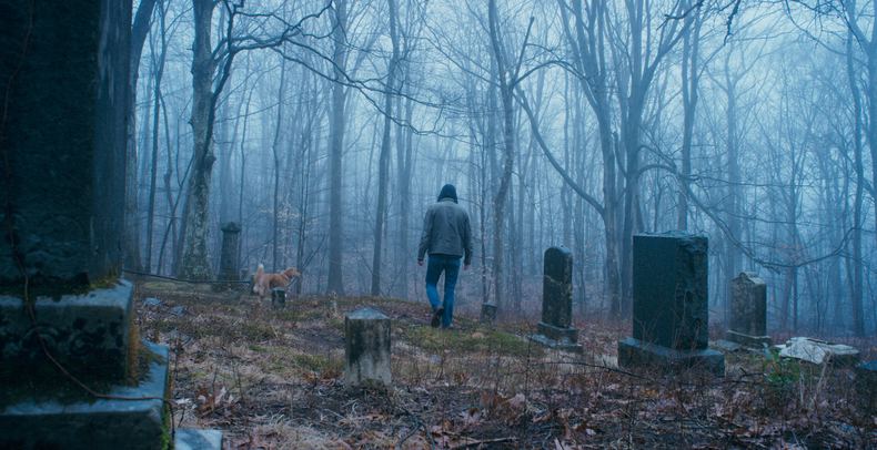 Goodboy, uno de los estrenos del Festival de Terror y Sangre.