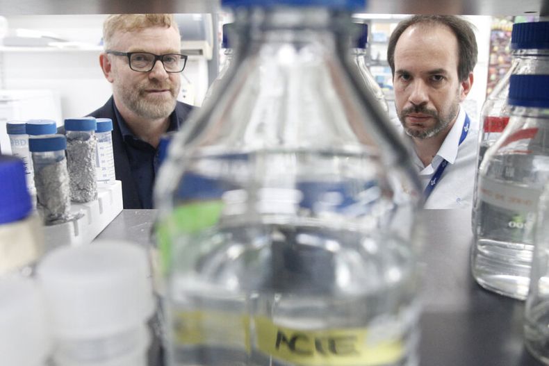 imagen de Un descubrimiento de uruguayos y argentinos abrió un nuevo camino para intentar curar el cáncer y combatir tumores