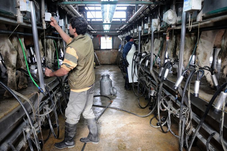 Darío Joircín advirtió por los problemas financieros que enfrentan muchos productores lecheros, sobre todo los de menor escala, así como el cierre de más industrias