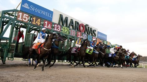 La sociedad explotadora del Hipódromo de Maroñas regresa al mercado bursátil