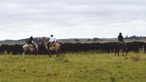 Augap indica que el objetivo de la ley se enmarca en lo que dispone el artículo 47 de la Constitución de la República que dice: La protección del medio ambiente es de interés general