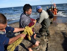 Pescadores artesanales durante la jornada del Viernes Santo de 2021, en Piriápolis. Pescadores artesanales durante la jornada del Viernes Santo de 2021, en Piriápolis.
