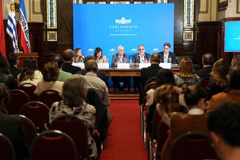 Mandy Barrios, Blanca Rodíguez, Rodrigo Goñi, Bruno Gili y Jan Milolaj Dzieciolowzki durante el encuentro Desinformación, Inteligencia Artificial y Democracia en la antesala de la Cámara de Diputados del Palacio Legislativo.