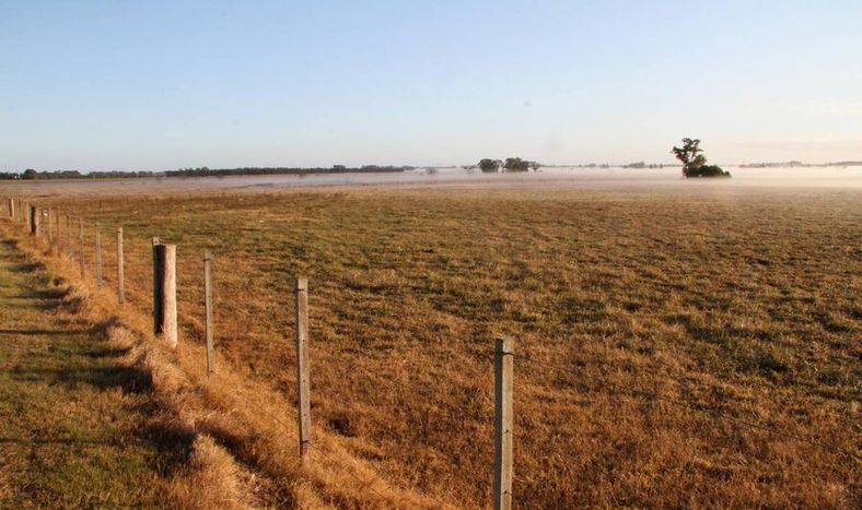 imagen de Colonización debería pagar US$ 740.000 menos de lo que ofreció por el campo de un exdirector de ese ente estatal, según Catastro