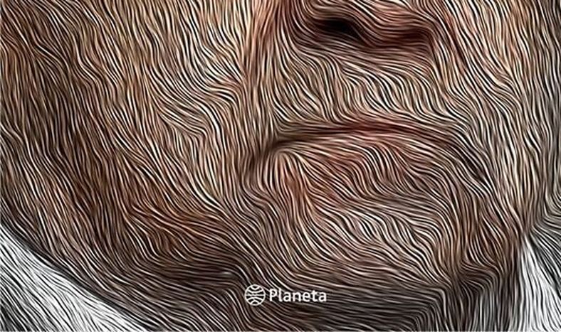 imagen de Un libro que relata el supuesto financiamiento del MPP mediante  asaltos a bancos en la restauración democrática generó revuelo