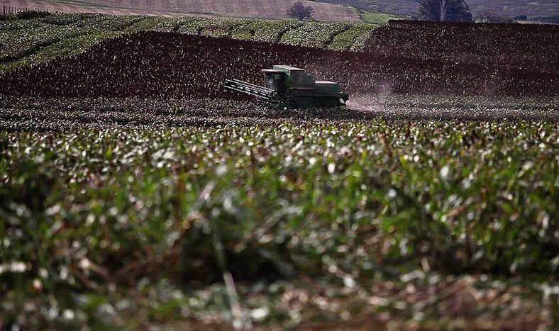 Foto: Pablo La Rosa, adhocFOTOS