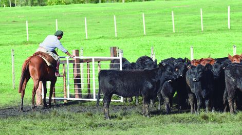 El 2026 iniciará firme para carne y aceites, en contraste con otros productos