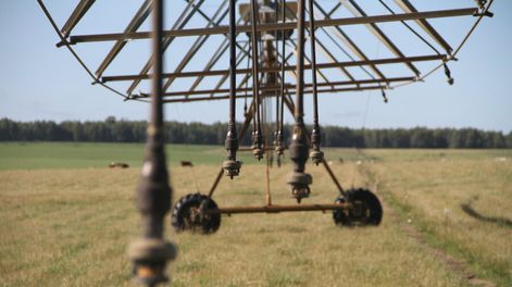 La actividad económica está debilitada, en parte por el déficit hídrico. Foto: Nicolás Der Agopián / Búsqueda
