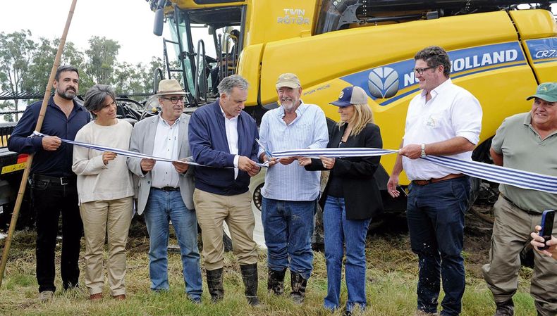 El productor Juan Varalla, entre el presidente Orsi y la vicepresidente Cosse, en la inauguración de la cosecha de arroz 2025, el jueves 13 en Treinta y Tres