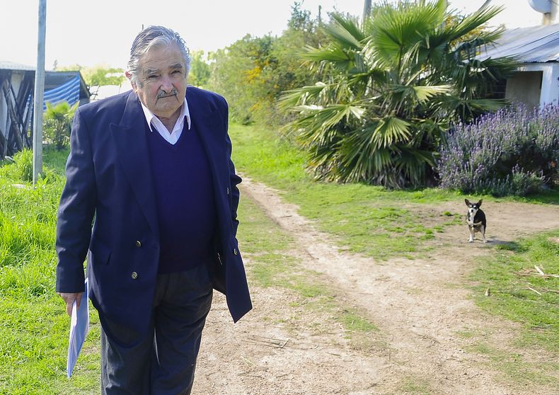 José Mujica sale de su chacra rumbo a Torre Ejecutiva
