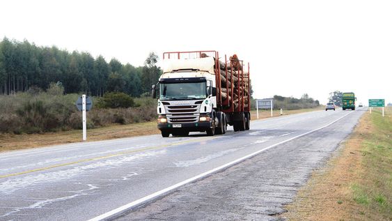 Foto: Nicolás Garrido / Búsqueda Foto: Nicolás Garrido / Búsqueda