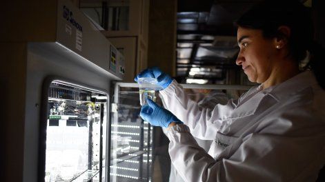 Laboratorio en el Latu.