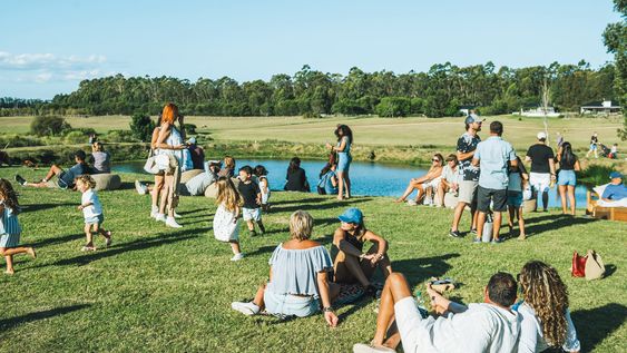 pan, queso y fermentacion al sol pan, queso y fermentacion al sol