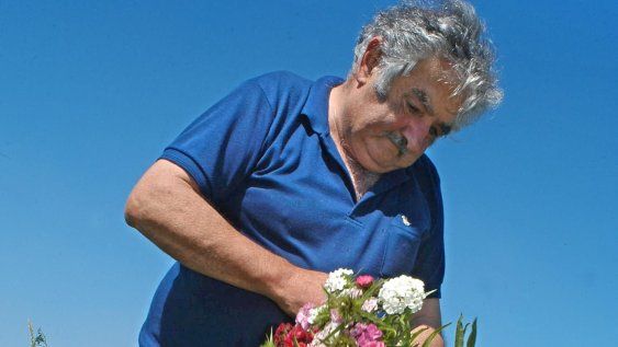 mujica y las flores: las cuido y las entendio, pero no las extrano mujica y las flores: las cuido y las entendio, pero no las extrano
