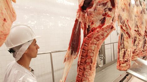La valorización de la carne uruguaya generó un nuevo impulso en la máquina de producir. Foto: Nicolás Der Agopián