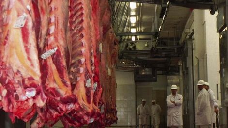 La Dirección General de Servicios Ganaderos representa la mitad o algo más del total de multas que aplica cada año el MGAP