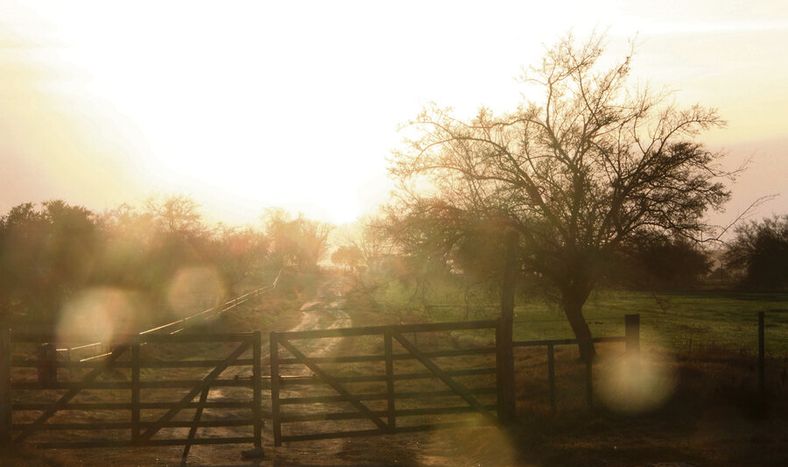 Por un cambio en la política oficial de tierras, el INC dejó de comprar más campos. Foto: Nicolás Der Agopián / Búsqueda