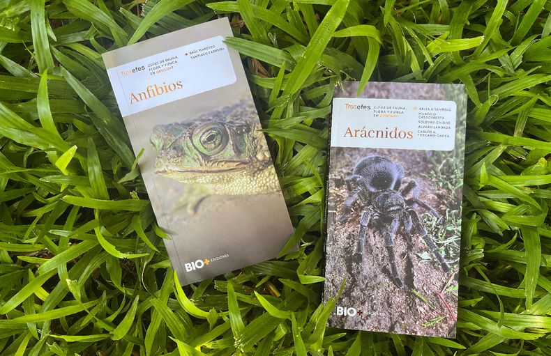 La colección de guías de fauna, flora y funga Tresefes publicada por BIO+ Ediciones busca acercar el universo de estos animales al público general.