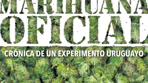 imagen de La regulación de la marihuana, una idea que Mujica encajonó por años y que sobrevivió al desgano de Vázquez imagen de La regulación de la marihuana, una idea que Mujica encajonó por años y que sobrevivió al desgano de Vázquez