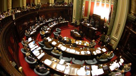 imagen de Diferencias en el Senado por las venias en la  Junta Anticorrupción