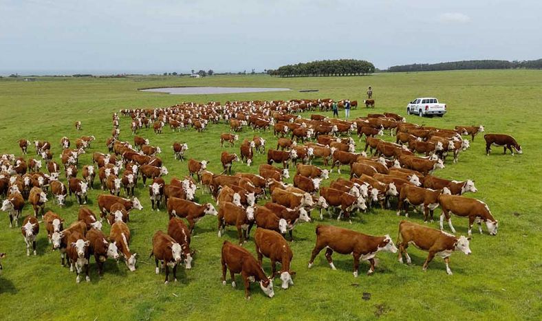 Para seguir en el camino de crecimiento y acelerar a fondo se deben mejorar las condiciones del negocio