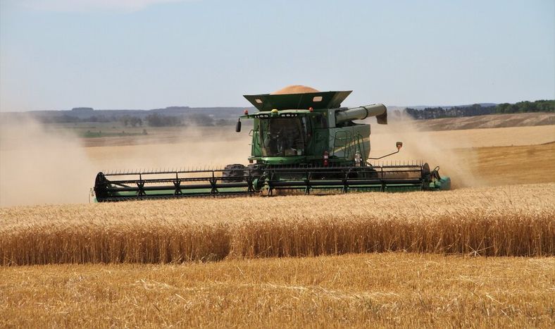 Foto: Nicolás Der Agopián / Búsqueda