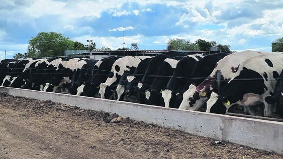 La reasignación le permitiría al Inale cubrir su presupuesto y financiar nuevas líneas de trabajo. La reasignación le permitiría al Inale cubrir su presupuesto y financiar nuevas líneas de trabajo.
