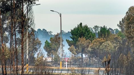 Búsqueda | Fotos: Lucía Durán