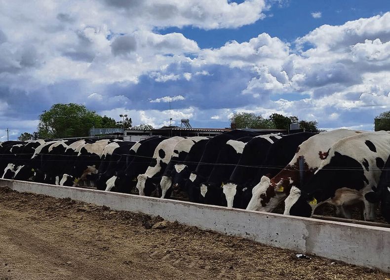 El presidente de la ANPL dijo que la brecha productiva debe achicarse y planteó mejorar la gestión empresarial. Foto: Agro de Búsqueda