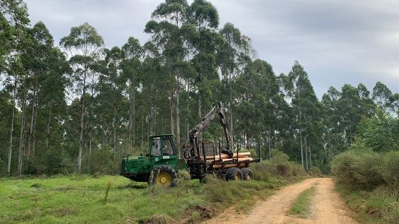 El fideicomiso de Bosques del Uruguay es el instrumento privado con más saldo invertido en las AFAP El fideicomiso de Bosques del Uruguay es el instrumento privado con más saldo invertido en las AFAP
