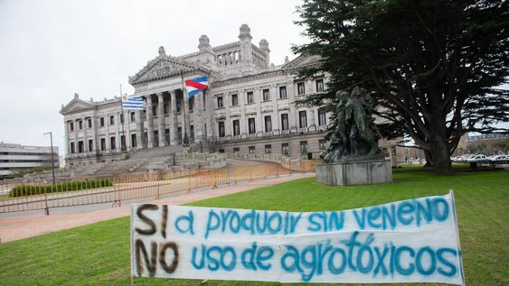 Movilización de los apicultores frente al Palacio Legislativo, julio 2019. Movilización de los apicultores frente al Palacio Legislativo, julio 2019.