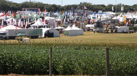 imagen de En la Expoactiva mostraron avance de buenas prácticas agrícolas  y del reciclaje de algunos envases descontaminados en el campo