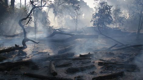 Foto: Ricardo Antúnez / adhocFOTOS