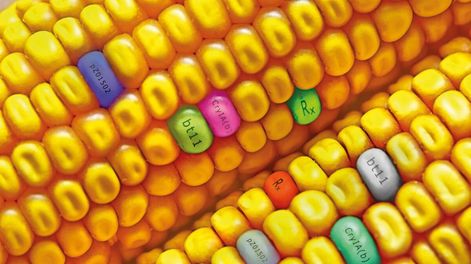 Búsqueda | 825017.jpg