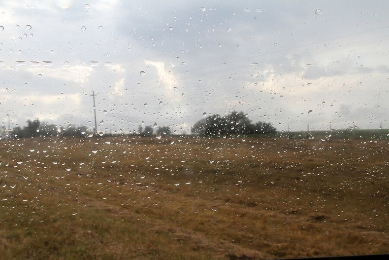 La adaptación al cambio climático fue el indicador más recurrido en las inversiones promovidas. Foto: Nicolás Der Agopián / Búsqueda