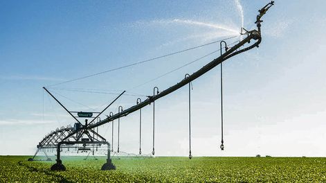 Para Rubio el acceso a financiamiento para riego no es la principal limitante, sino la creación de infraestructuras de gran escala