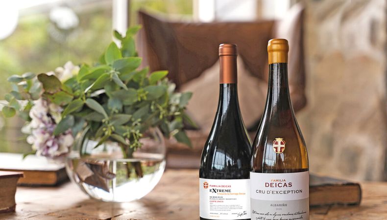 imagen de Vinos reconocidos a nivel internacional