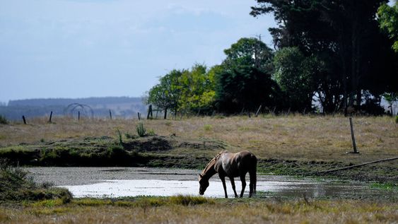 Foto: Javier Calvelo / adhocFOTOS Foto: Javier Calvelo / adhocFOTOS