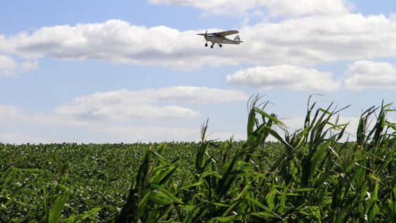 Foto: Nicolás Der Agopián / Búsqueda Foto: Nicolás Der Agopián / Búsqueda
