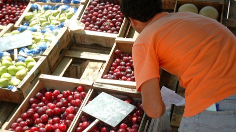 Alimentos en feria vecinal.