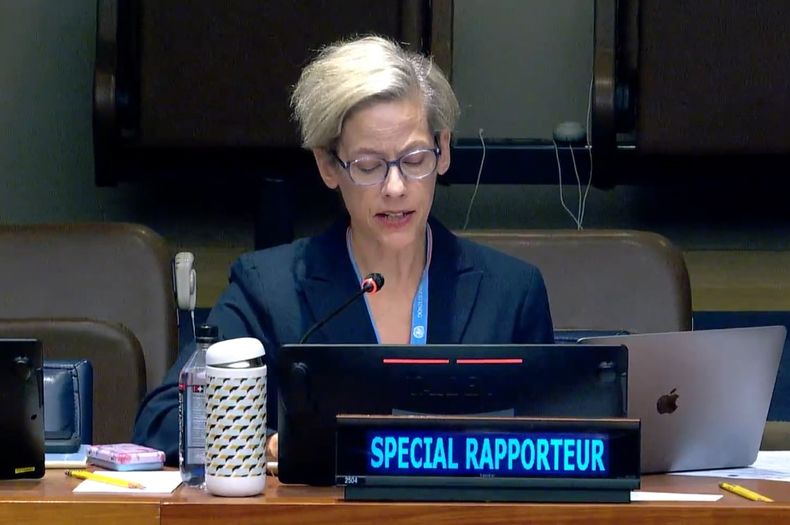 Margaret Lockwood Satterthwaite, relatora especial sobre la Independencia de Jueces y Abogados de las Naciones Unidas   &nbsp;