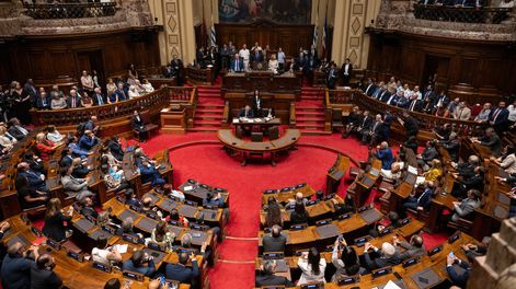 Búsqueda | 20260302_MZZ_4714