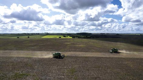 Un campo agrícola afectado en la sequía. Foto: Pablo La Rosa, adhocFOTOS