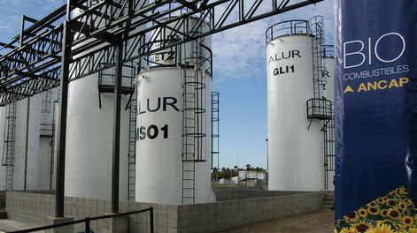 imagen de Luego de años de debate sobre la conveniencia del monopolio, Ancap	se expande en diferentes negocios con sus empresas privadas