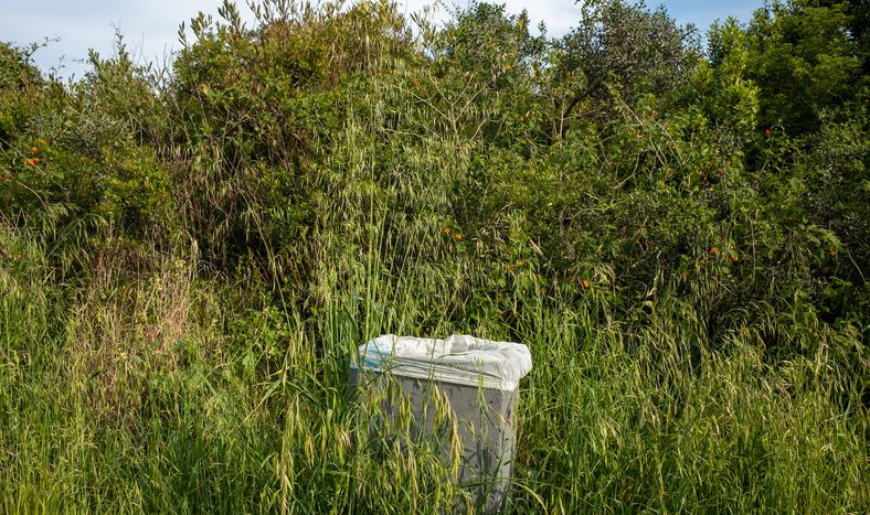 El análisis del gobierno sugiere enfocar la iniciativa en microáreas de Montevideo.