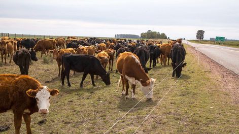 La última sequía provocó una contracción de 25% en la producción agrícola