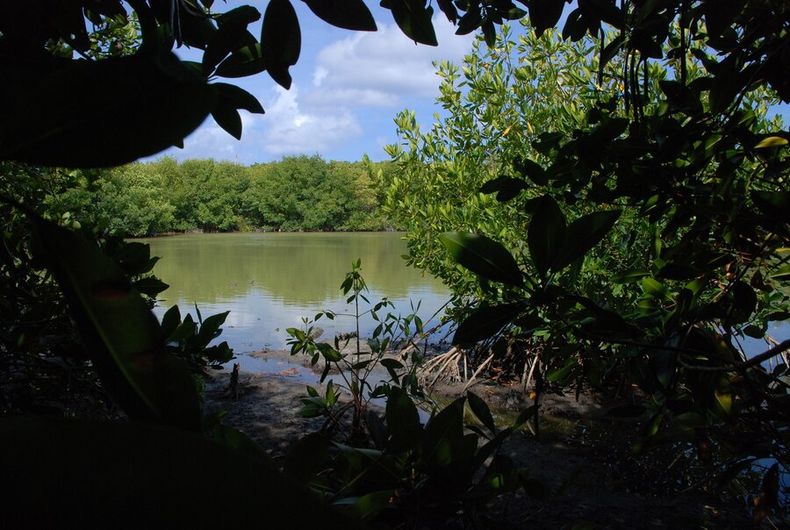 imagen de Proyecto para producir hidrógeno y metanol en Tambores causa controversia por extracción de agua del acuífero Guaraní