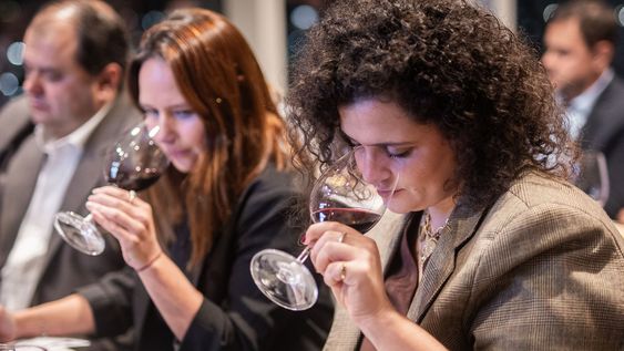 familia deicas reivindica el cabernet sauvignon uruguayo con una masterclass en piso 40